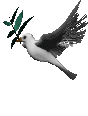 colom imatges-animades-gif